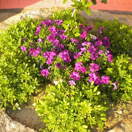 Chios Rooms Myview Karfas Room photo